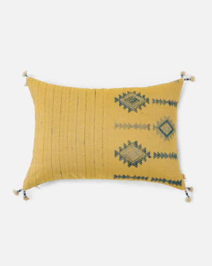 Sunlit Pachedi Pillow