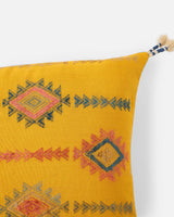 Sunlit Pachedi Pillow
