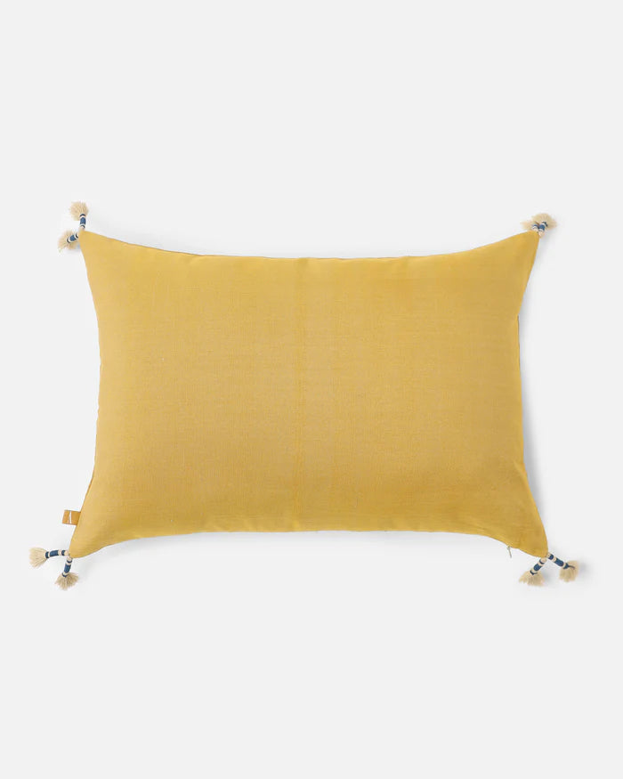 Sunlit Pachedi Pillow