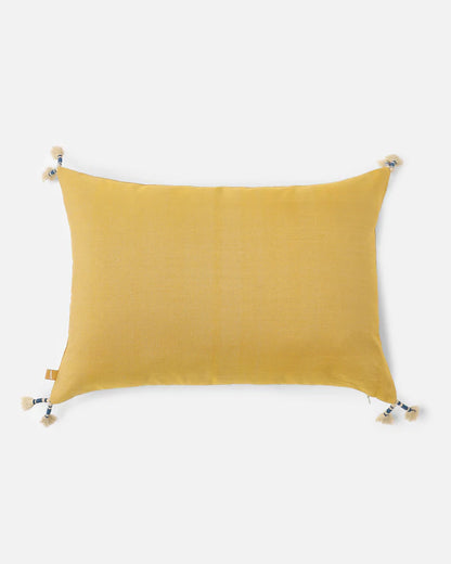 Sunlit Pachedi Pillow