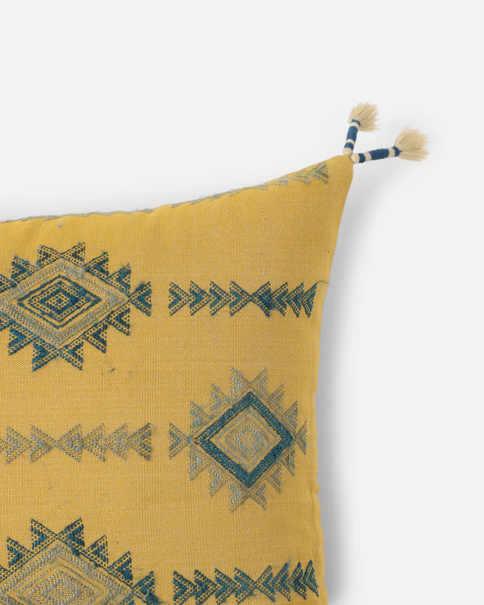 Sunlit Pachedi Pillow