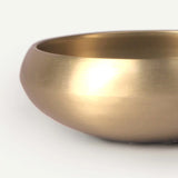 Living Metal Bronze Palm Bowl
