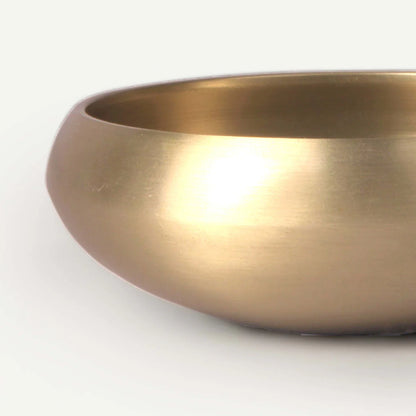 Living Metal Bronze Palm Bowl